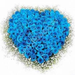 101 синяя роза в форме сердца