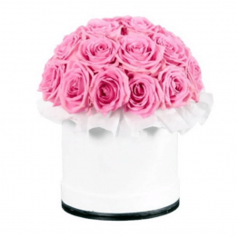 19 розовых роз в шляпной коробке